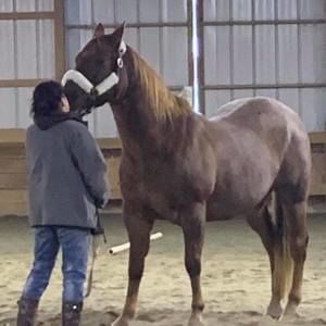 Meet your Posher, Candace